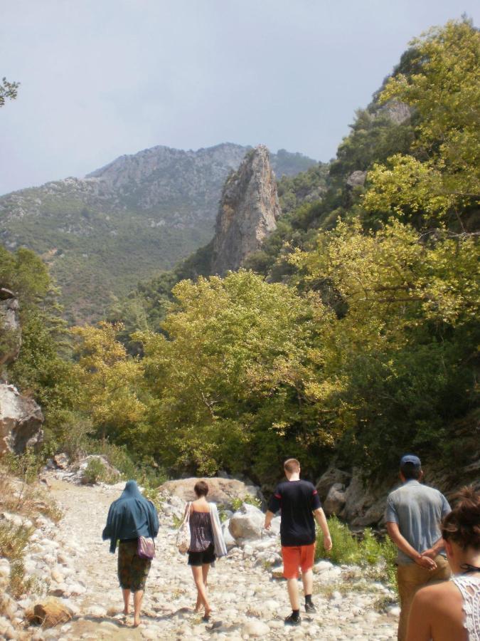 Zeytinada Pansiyon Ve Goezleme Guneykoy Exterior foto